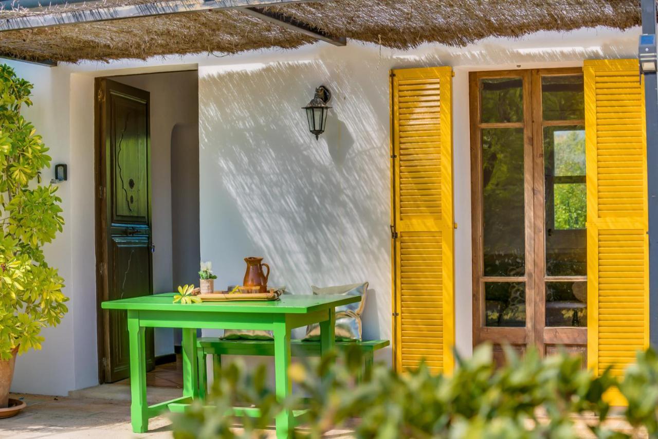 Country house Ideal Mallorca - Flauta Selva (Mallorca)