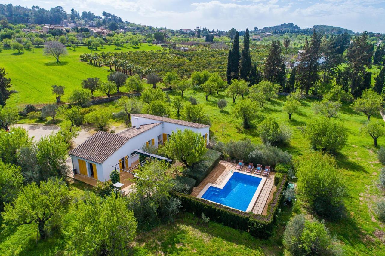 Country house Ideal Mallorca - Flauta *