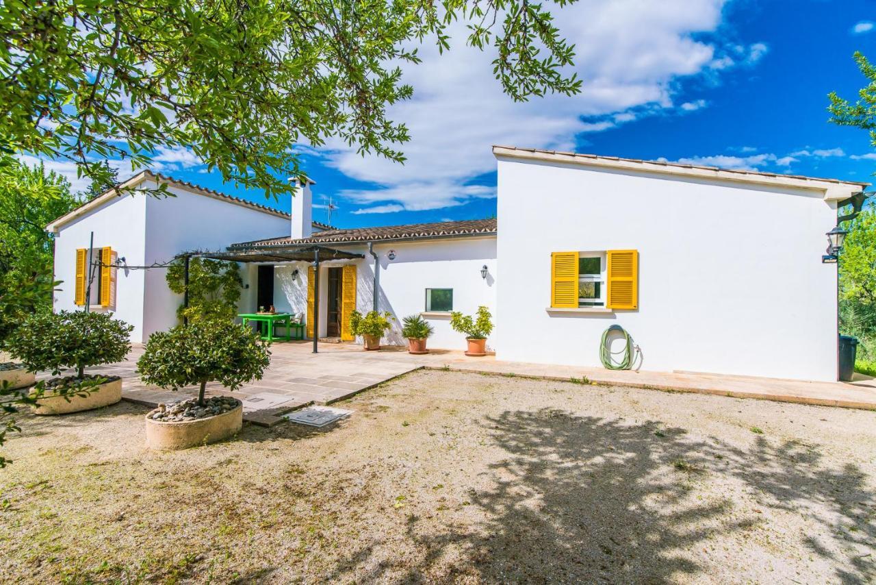 Ideal Mallorca - Flauta Country house Selva (Mallorca)