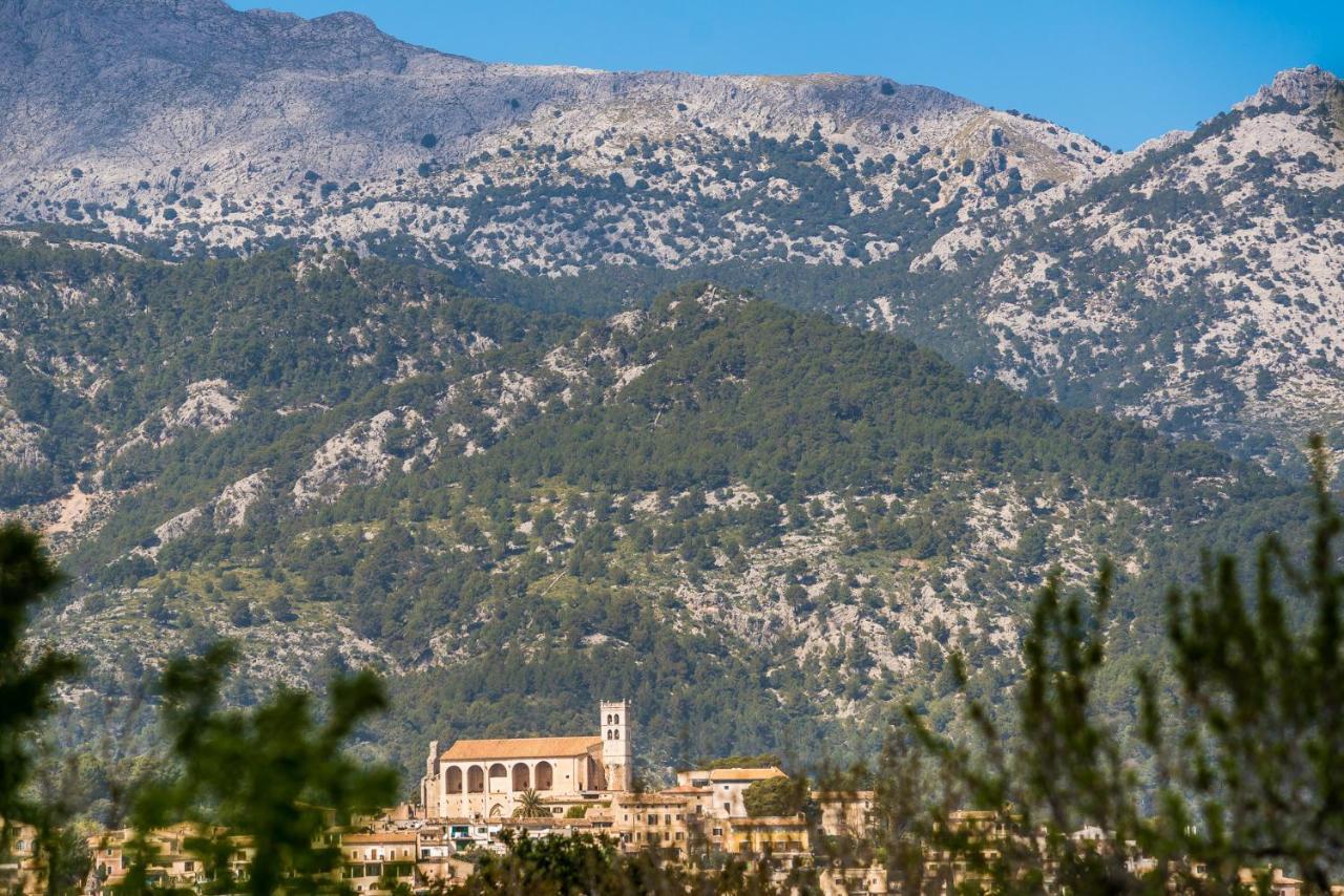 Country house Ideal Mallorca - Flauta *